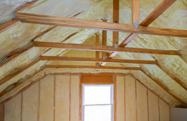 Best Crawl Space Insulation  in South Farmingdale, NY