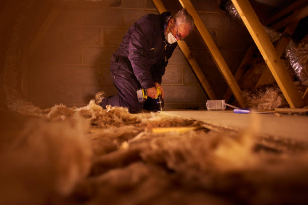 Best Energy-efficient Insulation  in South Farmingdale, NY